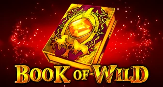 Slot Makinesi Book Of Wild